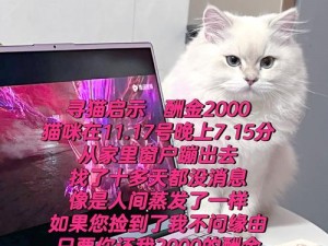 悬赏猫时代的新纪元：探寻它的魅力与影响力