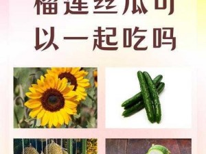 向日葵黄瓜榴莲丝瓜可以一起吃吗(向日葵、黄瓜、榴莲、丝瓜可以一起吃吗？)