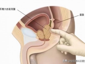 按压前列腺求饶失禁文 我被按压前列腺，求饶失禁：羞耻与快感交织