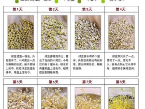 my2722蜜芽【我的 2722 蜜芽，记录宝贝成长的点滴】