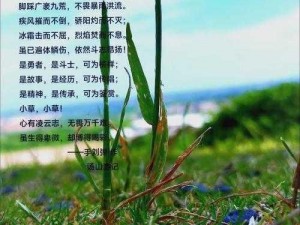 小草回家永不迷路2024可无限次体验;小草回家永不迷路 2024 可无限次体验：一款什么样的产品？