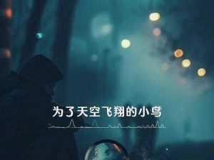 面对起起落落，坦然以歌——人生旋律的诠释