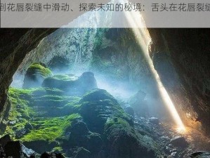 舌头钻到花唇裂缝中滑动、探索未知的秘境：舌头在花唇裂缝中的奇妙滑动