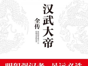 汉武大帝传电脑版下载链接及详细安装指南：操作指南与步骤解析