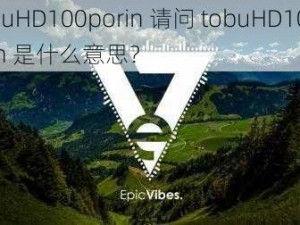 tobuHD100porin 请问 tobuHD100porin 是什么意思？