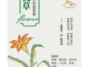 久久丫精品忘忧草产品特点 久久丫精品忘忧草，口感鲜美，营养丰富，嚼劲十足