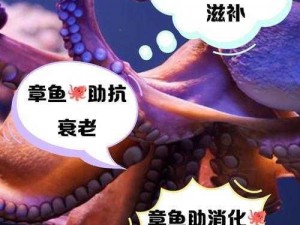 缺氧疫病下章鱼的作用与价值探究：生存策略与生态保护新视角