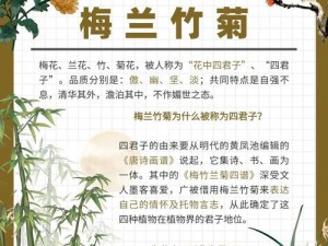 梅兰竹菊的竹代表什么-梅兰竹菊的竹代表什么品质？