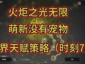 《火炬之光手游攻略：快速升级宠物的方法与策略》