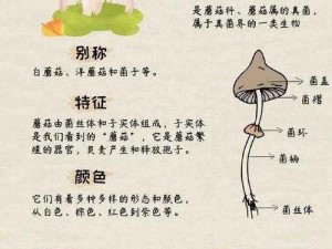 泰拉瑞亚蘑菇的秘密解析：蘑菇的功效与作用全面揭示