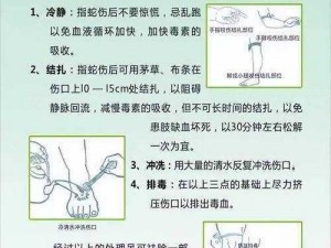 野外活动必备知识：预防蛇咬伤的措施与应急处理指南