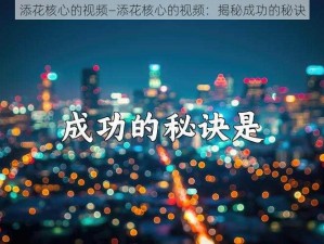 添花核心的视频—添花核心的视频：揭秘成功的秘诀