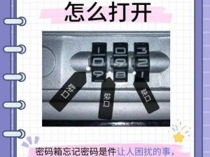 迷失B12保险箱密码揭秘：获取密码方法与步骤详解