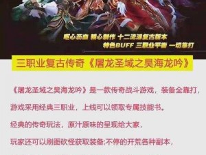 《魔兽世界怀旧服：屠龙者纲要攻略指南》