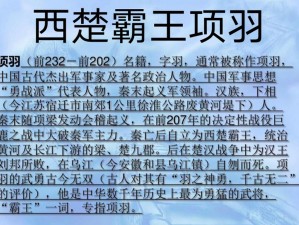 霸王本色：项羽技能全面解析与深度探讨