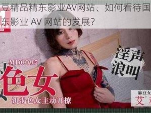 国产麻豆精品精东影业AV网站、如何看待国产麻豆精品精东影业 AV 网站的发展？