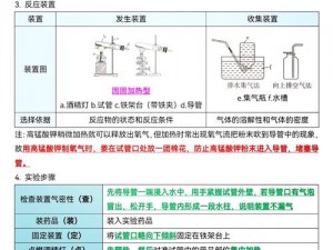 缺氧氧气蕨的制氧原理及制氧过程介绍：揭秘氧气蕨如何制造氧气