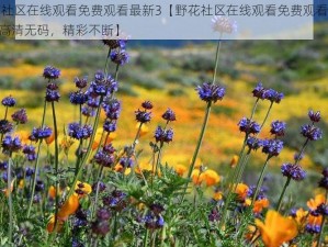 野花社区在线观看免费观看最新3【野花社区在线观看免费观看最新 3，高清无码，精彩不断】