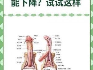 男生自慰小鲜肉18;男生自慰小鲜肉 18 岁，到底是怎么回事？