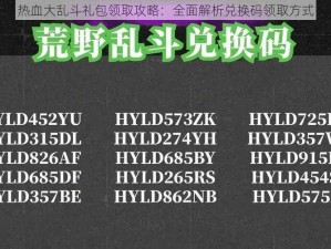 热血大乱斗礼包领取攻略：全面解析兑换码领取方式