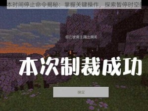 MC新版本时间停止命令揭秘：掌握关键操作，探索暂停时空的新机制