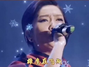 抖音热歌揭秘：我是南方来的雁啊背后隐藏的故事与旋律