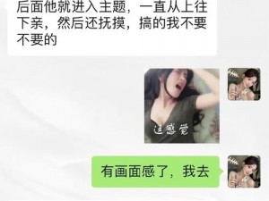 肉欲性瘾H强啪—肉欲性瘾者的 H 强啪体验