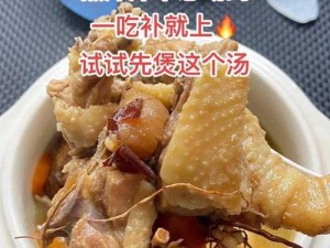 大香煮2022一人一煮介绍;大香煮 2022 一人一煮介绍：食材搭配与烹饪技巧