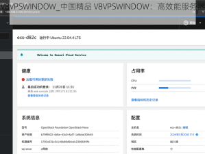 中国精品V8VPSWINDOW_中国精品 V8VPSWINDOW：高效能服务器的理想选择