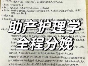 第二产程助产士角色与辅助力量的重要性探究：辅助手段对产妇顺利分娩的影响解析