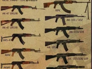 AK47枪械价格揭秘：人民币多少可购得这把传奇武器？