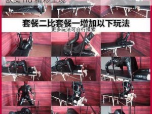 bdsm性折磨bdsm欧美hd-bdsm 性折磨：欧美 hd 精彩呈现