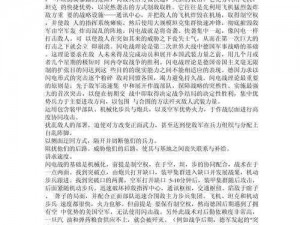 关于《克鲁赛德战记》图腾运用心得的深入探讨与解析