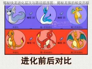 揭秘快龙进化层次与路径顺序图：揭秘龙族的蜕变历程