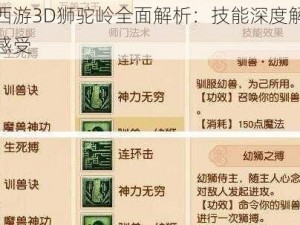 梦幻西游3D狮驼岭全面解析：技能深度解读与体验感受