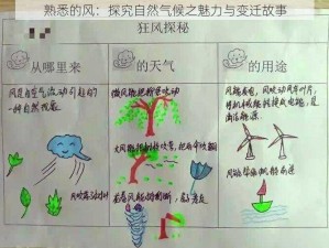 熟悉的风：探究自然气候之魅力与变迁故事