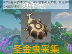 原神圣金虫角色突破材料揭秘：神秘材料揭秘之路，揭秘原神圣金虫之秘密相关最新情报