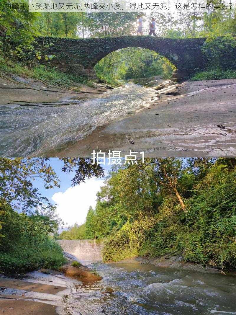 两峰夹小溪湿地又无泥,两峰夹小溪，湿地又无泥，这是怎样的美景？