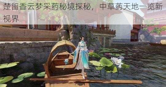 楚留香云梦采药秘境探秘，中草药天地一览新视界