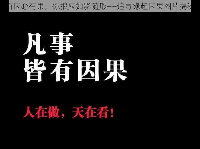 百因必有果，你报应如影随形——追寻缘起因果图片揭秘