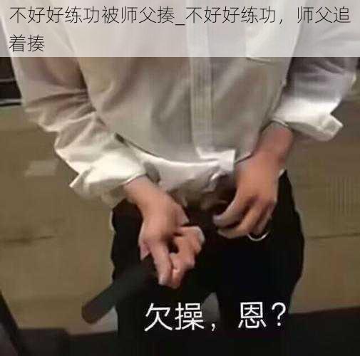 不好好练功被师父揍_不好好练功，师父追着揍