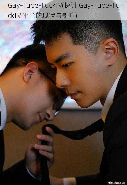 Gay–Tube–FuckTV(探讨 Gay–Tube–FuckTV 平台的现状与影响)