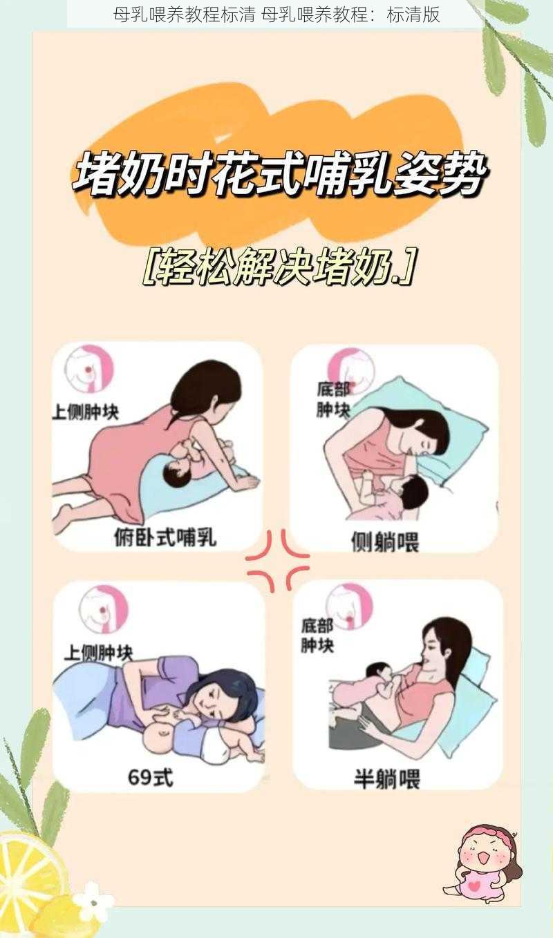 母乳喂养教程标清 母乳喂养教程：标清版