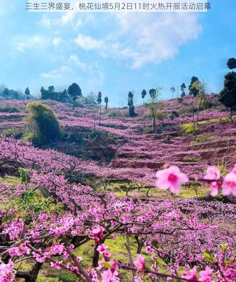 三生三界盛宴，桃花仙境5月2日11时火热开服活动启幕