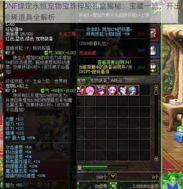 DNF缘定永恒宠物宝珠神秘礼盒揭秘：宝藏一览，开出珍稀道具全解析