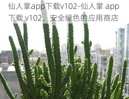 仙人掌app下载v102-仙人掌 app 下载 v102，安全绿色的应用商店