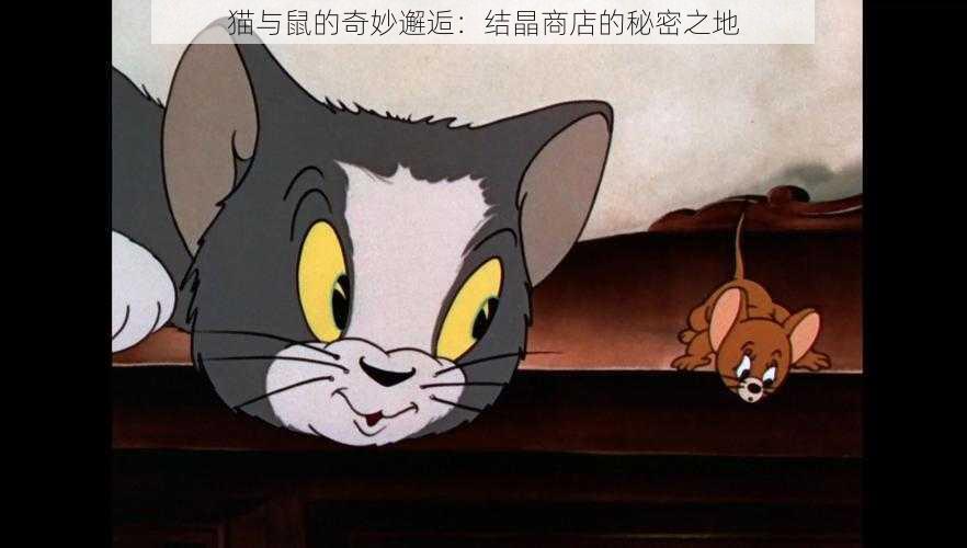 猫与鼠的奇妙邂逅：结晶商店的秘密之地