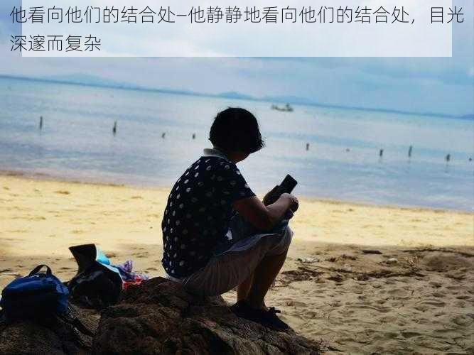 他看向他们的结合处—他静静地看向他们的结合处，目光深邃而复杂