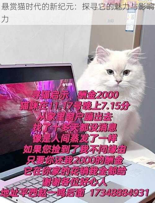 悬赏猫时代的新纪元：探寻它的魅力与影响力