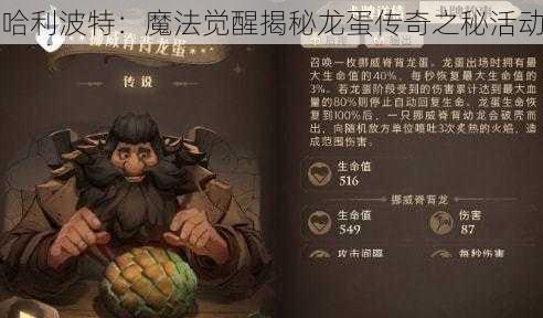 哈利波特：魔法觉醒揭秘龙蛋传奇之秘活动